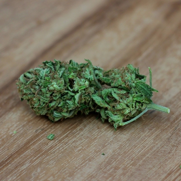 Sweet Harlem Diesel (Sumo Seeds) Feminiserade