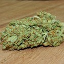 Thunderstruck (Sumo Seeds) Feminiserade