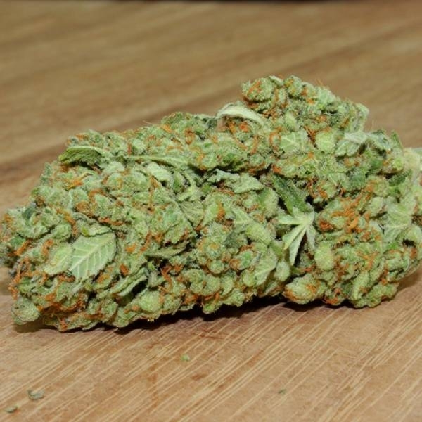 Thunderstruck (Sumo Seeds) Feminiserade