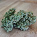 Sumo's OG Kush (Sumo Seeds) Feminiserade