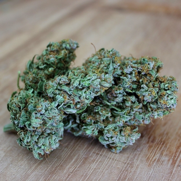 Sumo's OG Kush (Sumo Seeds) Feminiserade