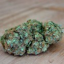 Appleberry (Sumo Seeds) Feminiserade