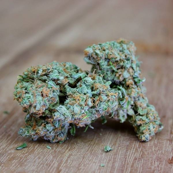 Ultimate AK (Sumo Seeds) Feminiserade