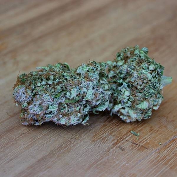 White Widow Original (Sumo Seeds) Feminiserade