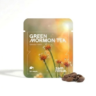 Gr&ouml;nt mormonte | Ephedra viridis-fr&ouml;n