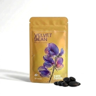 Sammetsb&ouml;na | Mucuna pruriens