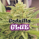 Godzilla Glue (Dr. Underground) Feminiserade