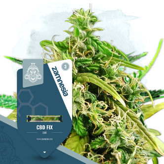 CBD Fix (Zamnesia Seeds) Feminiserade