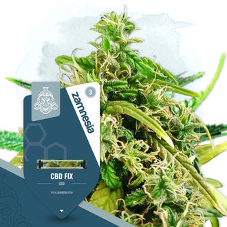 CBD Fix (Zamnesia Seeds) Feminiserade