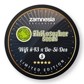 Wifi 43 x Do Si Dos (Philosopher Seeds) feminiserade cannabisfr&ouml;n