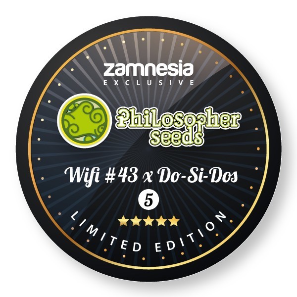 Wifi 43 x Do-Si-Dos (Philosopher Seeds x Zamnesia) Feminiserade