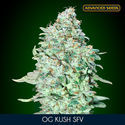 OG Kush SFV (Advanced Seeds) Feminiserade