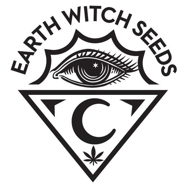 Witchy Wonder (Earth Witch Seeds) reguljär