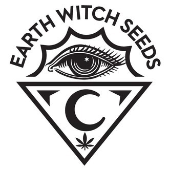 Marula (Earth Witch Seeds) reguljär