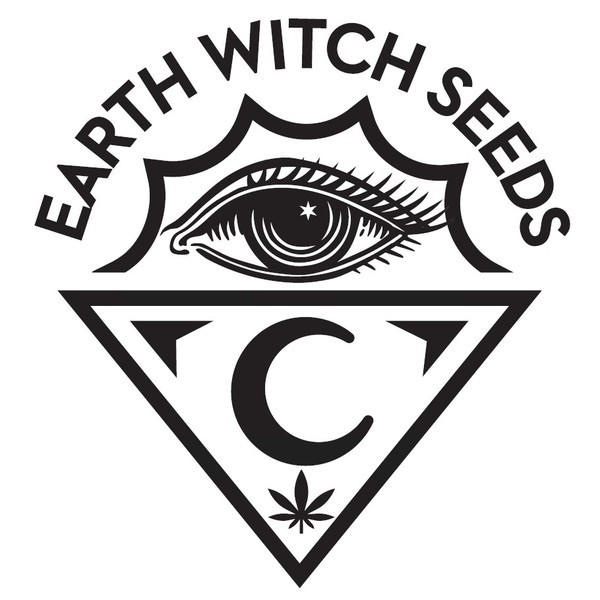 Pumpkin Punch (Earth Witch Seeds) reguljär