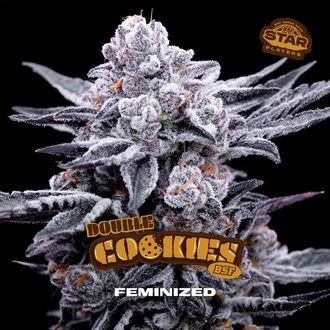 Double Cookies (BSF Seeds) Feminiserade