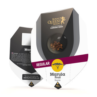 Marulafrukt (Royal Queen Seeds) reguljär