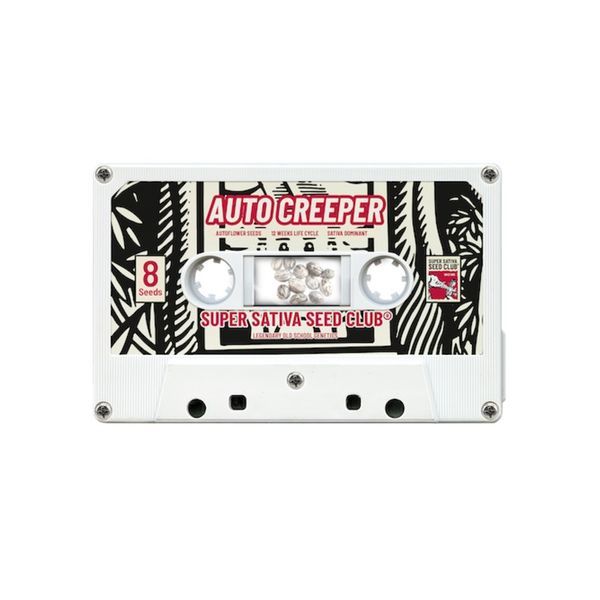 Auto Creeper (Super Sativa Seed Club) Feminiserade