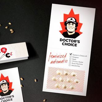 Doctor's Choice 1 Auto (Doctor's Choice) Feminiserade
