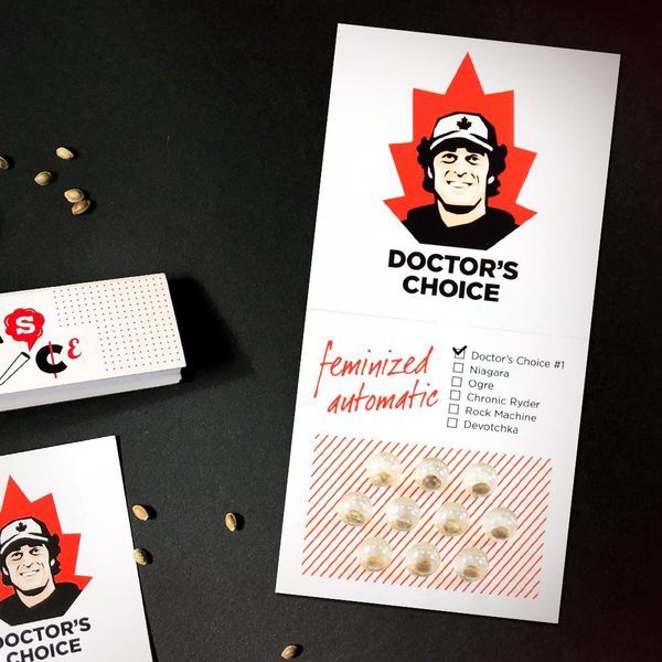 Doctor's Choice 1 Auto (Doctor's Choice) Feminiserade