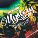 Cannabis Mystery Box – Classic (Zamnesia)