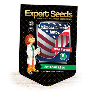 Mimosa Lemon Auto (Expert Seeds) Feminiserade