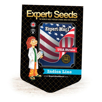 Expert Mac1 (Expert Seeds) feminiserade