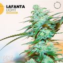 Lafanta Light (Light Buds) Feminiserade