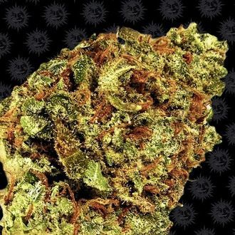 Watermelon Zkittlez Auto (Barney's Farm) Feminiserade