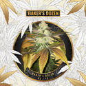 Baker's Dozen Exclusive (T.H.Seeds x Zamnesia) Feminiserade