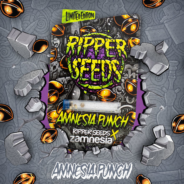 Amnesia Punch (Ripper Seeds x Zamnesia) Feminiserade