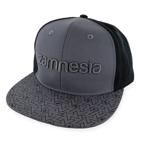 Zamnesia snapback-keps grå