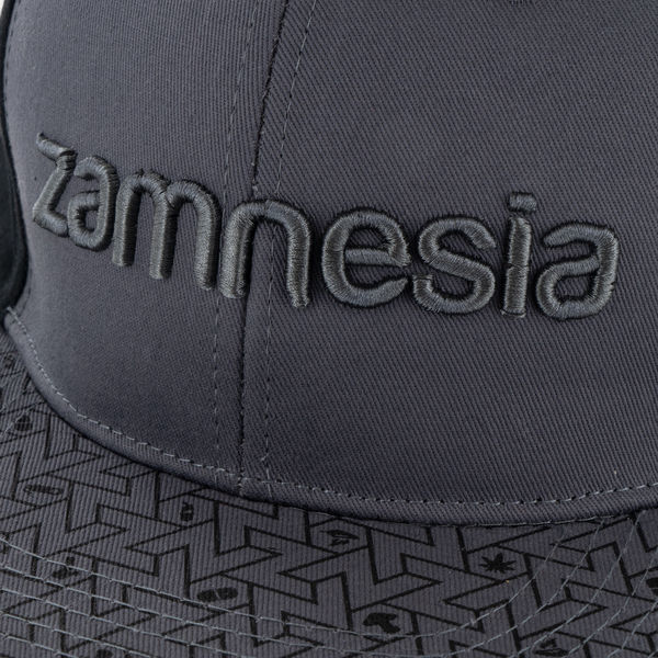 Zamnesia snapback-keps grå