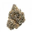 Rainbow Runtz (Growers Choice) Feminiserade