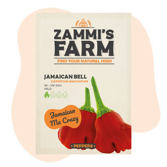Jamaican Bell Cambuci-frön
