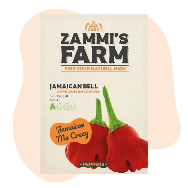 Jamaican Bell Cambuci-frön