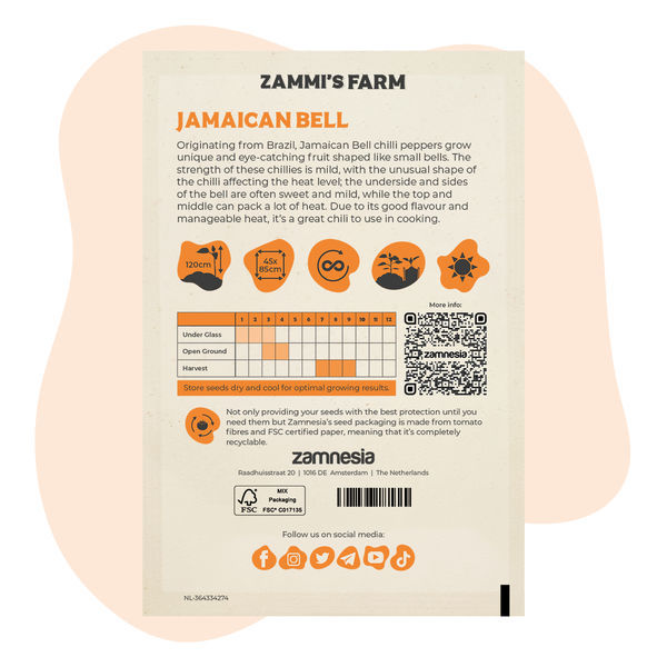 Jamaican Bell Cambuci-frön