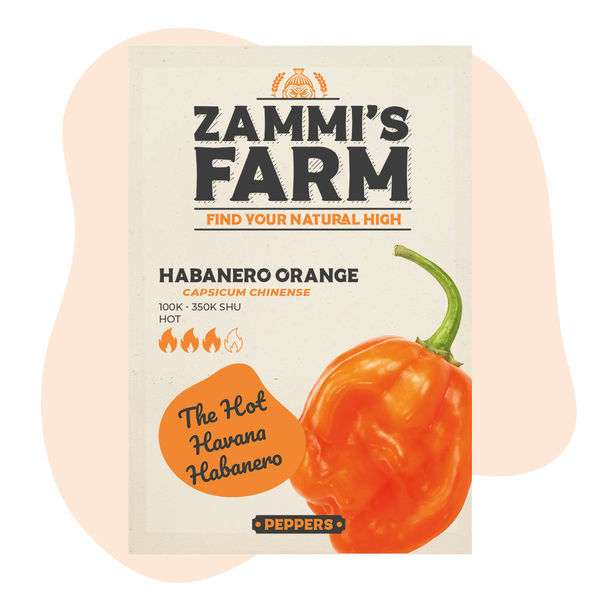 Habanero orangefrön