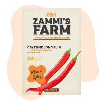 Cayenne Long Slim-frön