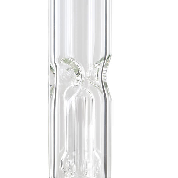 EHLE Meyer Isbong