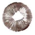Sportryck Psilocybe cubensis Amazonas