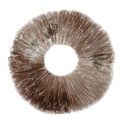 Sportryck av Psilocybe cubensis "Ban Hua Thai"