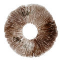 Sportryck Psilocybe cubensis Hawaii (PES)