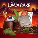 Lava Cake Autoflower (Zamnesia Seeds) Feminiserade