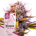 Pink Rozay Autoflower (Zamnesia Seeds) Feminiserade