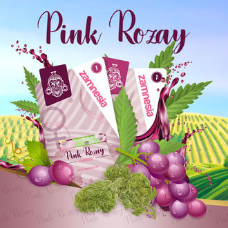 Pink Rozay Autoflower (Zamnesia Seeds) Feminiserade