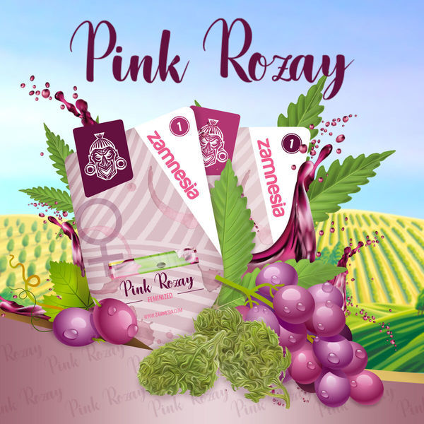 Pink Rozay Autoflower (Zamnesia Seeds) Feminiserade