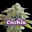 Dark Cookie (Dr. Underground) Feminiserade