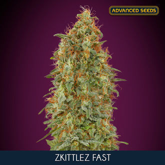 Zkittlez Fast (Advanced Seeds) Feminiserade