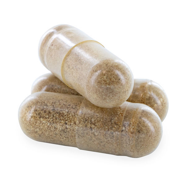 Ginkgo biloba-extrakt